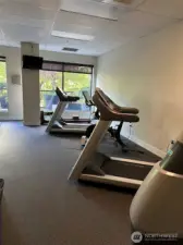 Fully appointed fitness gym