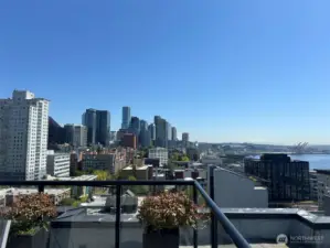 See Mt. Rainier