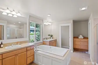 Primary bathroom