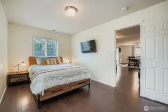 Downstairs bedroom