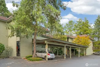 Off Street, designated  parking #85