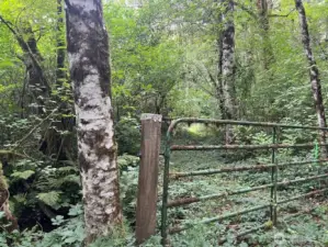 CAREFULLY walk around gate to walk back on property