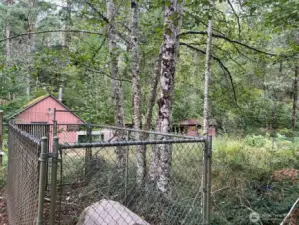 fenced dog kennel is on concrete pad