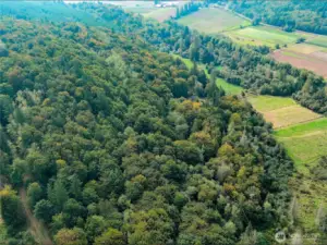 Hillside and pastures