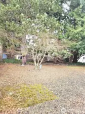 The expansive fenced backyard provides a peaceful outdoor retreat—ideal for morning coffee, weekend gatherings, or tending to your favorite plants.