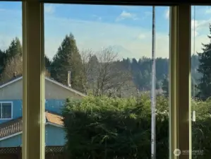 As seen from the living room windows