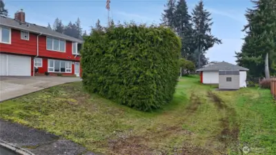 Don't forget to check out the shop!