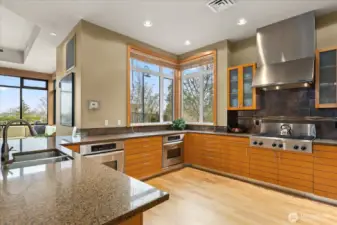 A large catering kitchen for parties or your personal