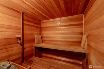 Condo Sauna