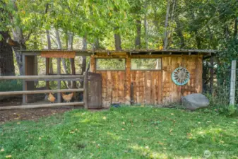 Backyard Chicken Coop