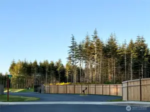 Gated Entry