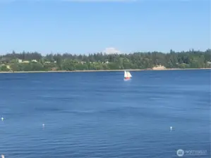 Bold MT Views from nearly Every Room! Watch the Orcas swim and marine life play!