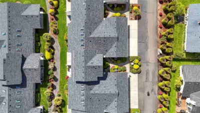 New Roof last Fall