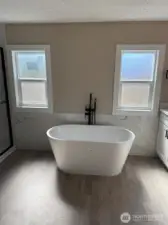 Soaking tub in the master bath