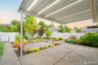 Back Covered Patio