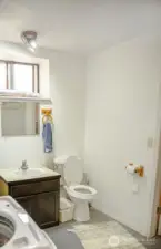 Lower Level Bathroom