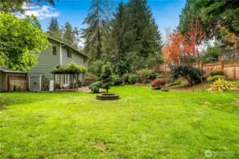 Lots of space to roam!