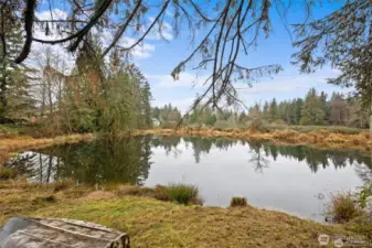 Private Pond Stocked with Fish