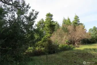 BUILD A PERMANENT RESIDENCE OR VACATION HOME OR USE THE PROPERTY AS AN RV CAMPING LOT FOR 120 DAYS PER YEAR!