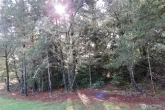 SELECTIVELY CLEAR THE PROPERTY!  THE UTILITES, WATER, POWER AND SEWER ARE IN THE STREET READY TO BE PUT ONTO THE PROPERTY!