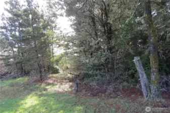 THE PROPERTY IS 11,720 SQ FEET SO THERE IS PLENTY OF SPACE TO BUILD OR CAMP!