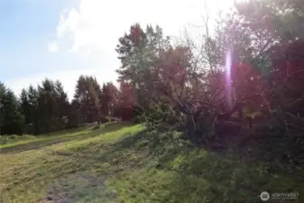 WALKING ALONG THE PROPERTY LINE, THERE IS A CAMPING LOT NEXT DOOR!
