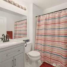 Guest bathroom