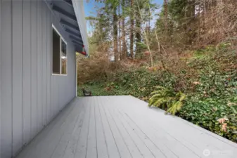 Rear deck with plenty of room to lounge and BBQ.