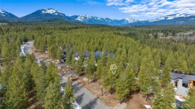 Aerial view of site and neighborhood
