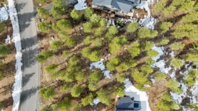 Aerial view of site. Neighbors already built!