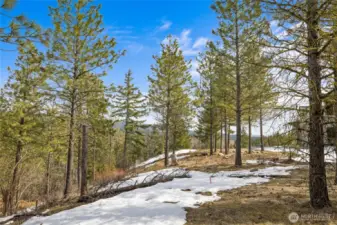 Views overlooking Cle Elum River corridor