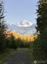 Views of Mt Baker from Canyon Creek Trail