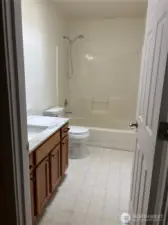 Main Level Guest Bath