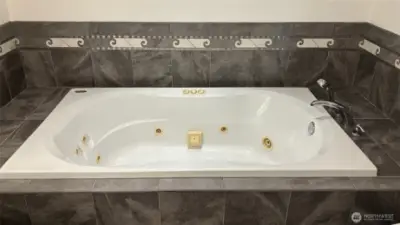 Lower Level Guest Jetted Bath