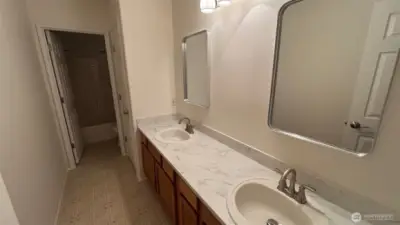 Lower Level Guest Bathroom