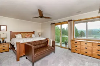 Stunning views from the primary bedroom and access to the deck.