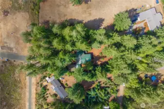 Gorgeous flat 0ne +acre lot, littered with mature firs!