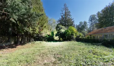 Backyard, some trees towards the back digitally removed.