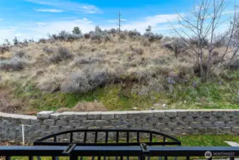 Deer love this space..