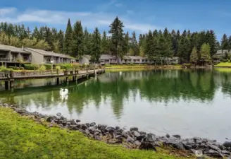 83 acres of trails/parks, more!