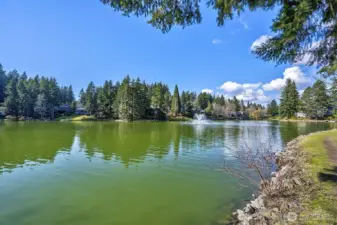 A rare combination of style, comfort, and location—don’t miss this one!