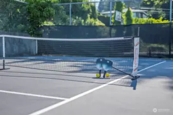You'll never have to worry about getting time on the public courts again because you have a private pickleball court!