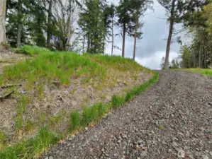 Driveway to Homesite