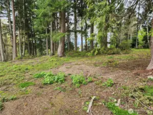 More of the Homesite