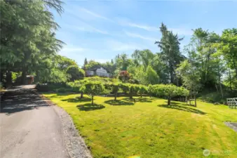 Driveway entrance to house.