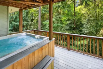 Private hot tub off the basement