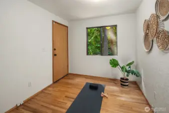 Bonus room in the basement. The door leads to a separate storage room.
