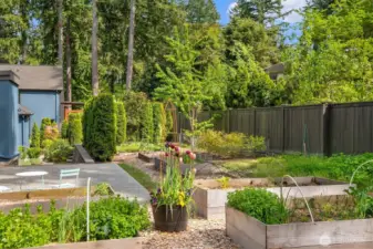 RAISED GARDEN