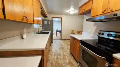 The kitchen has retro cabinets, newer countertops, stainless steel appliances, new sink and faucet, and new luxury vinyl tile flooring.