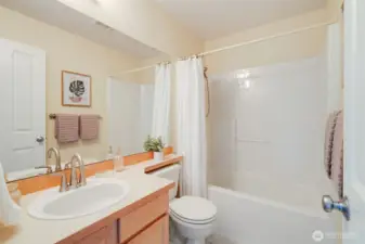 Guest bathroom.